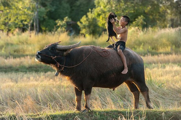 children-around-the-world-3